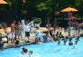 2013 Pool Season Kickoff