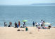 Summer at Coney Island