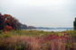 Fall Foliage in NYC Parks