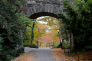 Fort Tryon Park (10/30/2013)