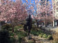 Statue of Mahatma Gandhi in Union Square Park