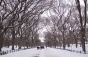 65123 02-18-03 Central Park after Blizzard 05.jpg