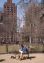 Photographs at the dog run in Washington Square Park.