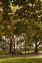 People relaxing in Theodore Roosevelt Park.