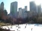 Wollman Rink