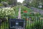 The 91st Street Garden