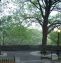 Fort Tryon Park