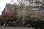 Tompkins Square Park