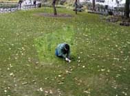 Bill Beirne, Madison Square Trapezoids