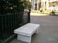 Arielle Dorlester, NYC Parks & Recreation