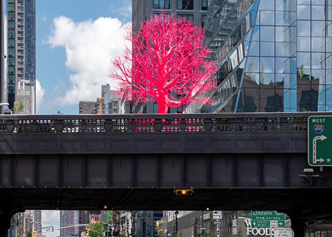 Photo by Timothy Schenck, Courtesy of Friends of the High Line