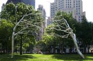 Roxy Paine, Conjoined, 2007
Photo by Jason Mandella, Courtesy James Cohan Gallery