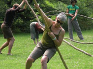 Merián Soto, Branch Dances