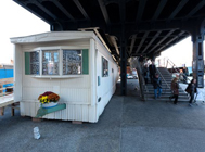 Francis Cape, <em>The Other End of the Line</em>, photo by Jason Mandella