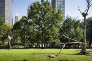 Courtesy of Madison Square Conservancy