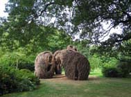 Patrick Dougherty's sculpture <em>Natural History</em> in late September. Photo by Rebecca Bullene. Courtesy of the Brooklyn Botanic Garden