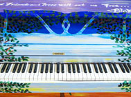 Deanna Aguinaga, piano for Pelham Bay Park: Orchard Beach, Bronx