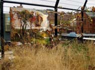 Valerie Hegarty, Autumn on the Hudson Valley with Branches