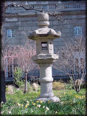 Photo of a Japanese Lantern in Sakura Park, Manhattan